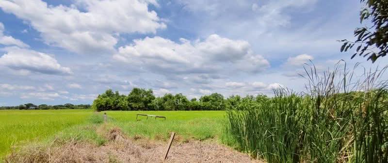ซอย คู้คลองสิบ 4, กรุงเทพ, มีนบุรี, กรุงเทพ, 11,200 ตร.ม., ที่ดิน ขาย, โดย คุณนิว, 500356707 - DDproperty.com