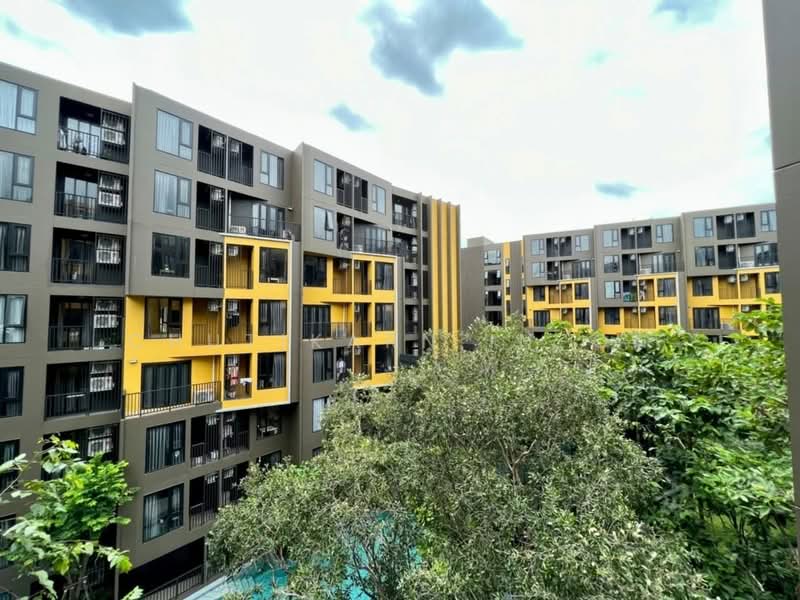 The Base Central : เดอะ เบส เซ็นทรัล ภูเก็ต, ภูเก็ต, ถนน เจ้าฟ้าตะวันตก, วิชิต, เมืองภูเก็ต, ภูเก็ต, 46 ตร.ม., คอนโด ให้เช่า, โดย Chutikarn In-On, 500356709 - DDproperty.com