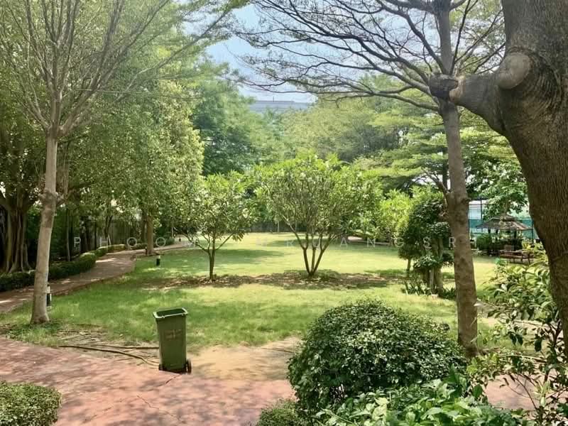 The Waterford Sukhumvit 50 : เดอะ วอเตอร์ฟอร์ด สุขุมวิท 50, กรุงเทพ, 890 ถนนสุขุมวิท 50, พระโขนง, คลองเตย, กรุงเทพ, 100 ตร.ม., คอนโด ให้เช่า, โดย Phoom Imruangsri, 500356852 - DDproperty.com