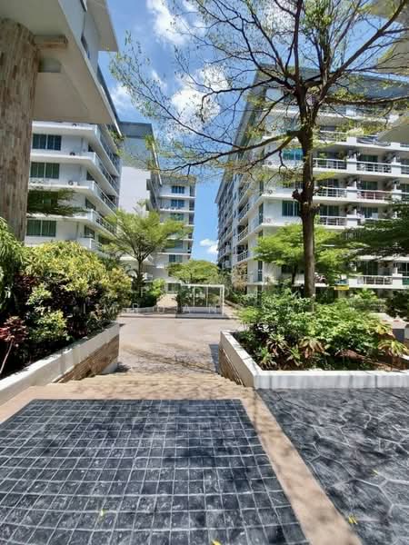 The Waterford Sukhumvit 50, Bangkok, 890 Soi Sukhumvit 50, Phra Kanong, Khlong Toei, Bangkok, 3 Bedrooms, 100 sqm, Condo For Rent, by Phoom Imruangsri, 500356852 - DDproperty.com