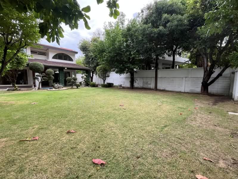 Panya Pattanakarn Village : หมู่บ้านปัญญา พัฒนาการ, กรุงเทพ, ซอยพัฒนาการ 30, สวนหลวง, กรุงเทพ, 350 ตร.ม., บ้านเดี่ยว ให้เช่า, โดย Khun Poon, 500356884 - DDproperty.com