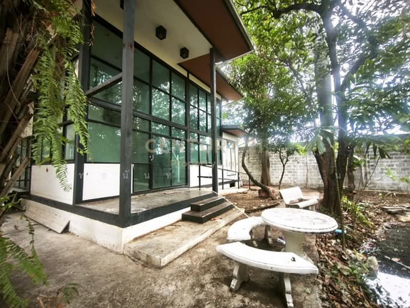 ทรัพย์สินให้เช่าแปลงใหญ่ใจกลางเมืองชั้นใน (Rare Item), Bangkok, Phaya Thai, Bangkok, 4 Bedrooms, 140 sqm, Single Detached House For Rent, by Pattanan Apirayothin, 500356910 - DDproperty.com