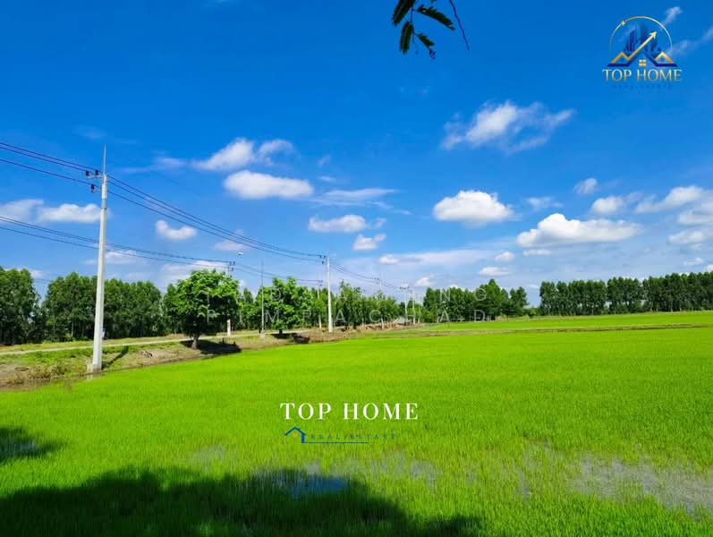 ที่ดินเปล่า 106 ไร่ 2 งาน 60 ตารางวา อำเภอบางน้ำเปรี้ยว จังหวัดฉะเชิงเทรา, Chachoengsao, Bang Nam Prieo, Chachoengsao, , 170,640 sqm, Land For Sale, by Tadsapong Pimpachad, 500356997 - DDproperty.com
