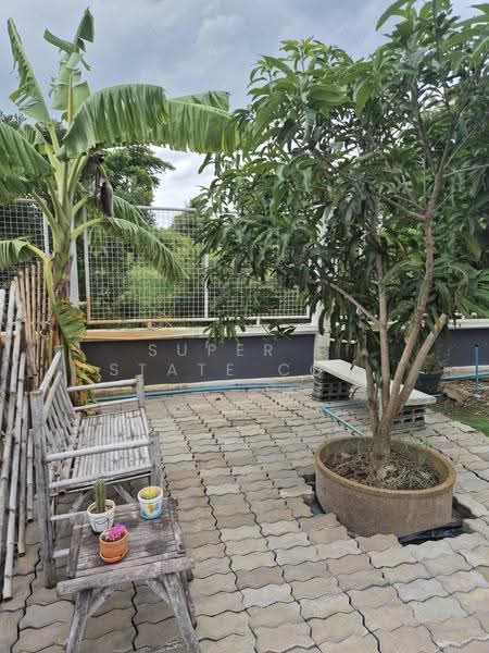ขาย บ้านเดี่ยว 2 ชั้น 236 ตร.ว. บรรยากาศดี​ ลำลูกกา ปทุมธานี, Pathum Thani, คลอง11, Bung Khohai, Lam Luk Ka, Pathum Thani, 2 Bedrooms, 200 sqm, Single Detached House For Sale, by Super B Estate Co., Ltd, 500357035 - DDproperty.com