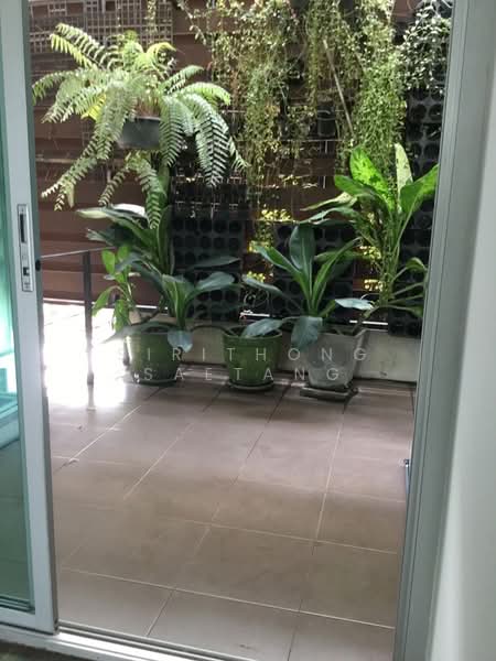 ขายอาคารพาณิชย์ โฮมออฟฟิศ 4 ชั้น ถนนสุขุมวิท 77 (อ่อนนุช) เขตประเวศ ใกล้ Air Port Link บ้านทับช้าง, กรุงเทพ, สุขุมวิท 77, ประเวศ, กรุงเทพ, 320 ตร.ม., ตึกแถว-อาคารพาณิชย์ ขาย, โดย Sirithong Saetang, 500357076 - DDproperty.com