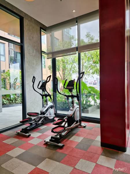 The Base Height-Chiang Mai : เดอะ เบส ไฮท์-เชียงใหม่, เชียงใหม่, วัดเกต, เมืองเชียงใหม่, เชียงใหม่, 34 ตร.ม., คอนโด ให้เช่า, โดย The Positive ที่ดิน บ้าน คอนโด, 500357182 - DDproperty.com