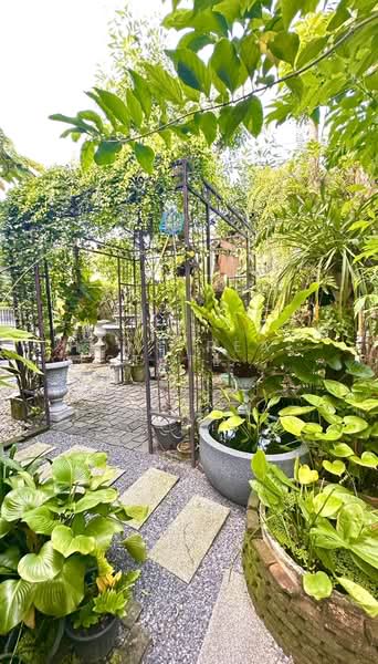 Mantana Srinakarin - Bangna, Samut Prakan, 159 Wat Nam Daeng Road, Bang Kaeo, Bang Plee, Samut Prakan, 4 Bedrooms, 203 sqm, Single Detached House For Sale, by HOME Real Estate Service, 500357204 - DDproperty.com