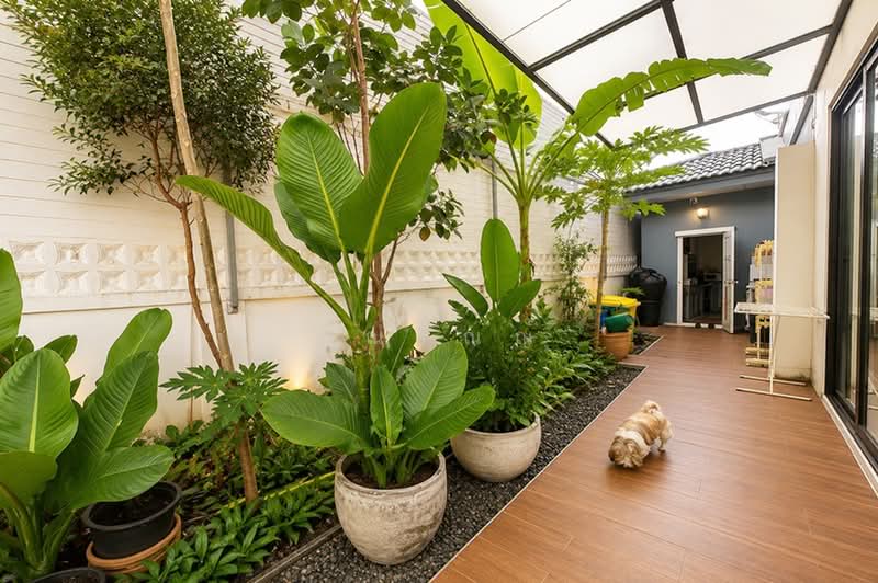 The Emerald Garden 1, นนทบุรี, ถนนราชพฤกษ์, บางบัวทอง, นนทบุรี, 821 ตร.ม., บ้านเดี่ยว ขาย, โดย คุณริณณ์, 500357292 - DDproperty.com