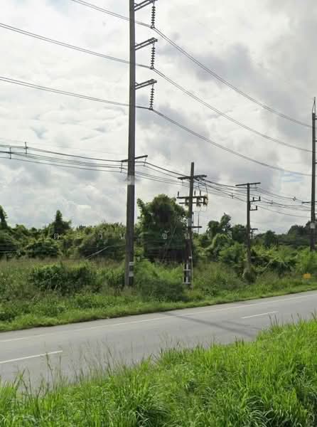 300 rai of land in Pluak Daeng, Rayong Province, within the EEC (Eastern Economic Corridor) zone., Rayong, 3574, Nong Rai, Pluak Daeng, Rayong, , 480,000 sqm, Land For Sale, by ตะวัน ขันเงิน, 500357390 - DDproperty.com