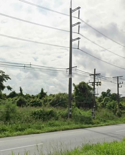 300 rai of land in Pluak Daeng, Rayong Province, within the EEC (Eastern Economic Corridor) zone., Rayong, 3574, Nong Rai, Pluak Daeng, Rayong, , 480,000 sqm, Land For Sale, by ตะวัน ขันเงิน, 500357390 - DDproperty.com