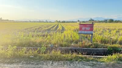 ขาย - ที่ดินแม่แตง เชียงใหม่, เชียงใหม่