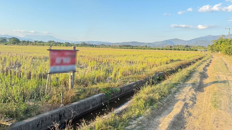 ที่ดินแม่แตง เชียงใหม่, Chiang Mai, Cho Lae, Mae Taeng, Chiang Mai, , 6,600 sqm, Land For Sale, by The Best Property บอย, 500357397 - DDproperty.com