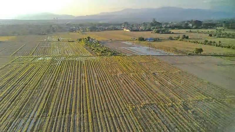 ที่ดินแม่แตง เชียงใหม่, Chiang Mai, Cho Lae, Mae Taeng, Chiang Mai, , 6,600 sqm, Land For Sale, by The Best Property บอย, 500357397 - DDproperty.com