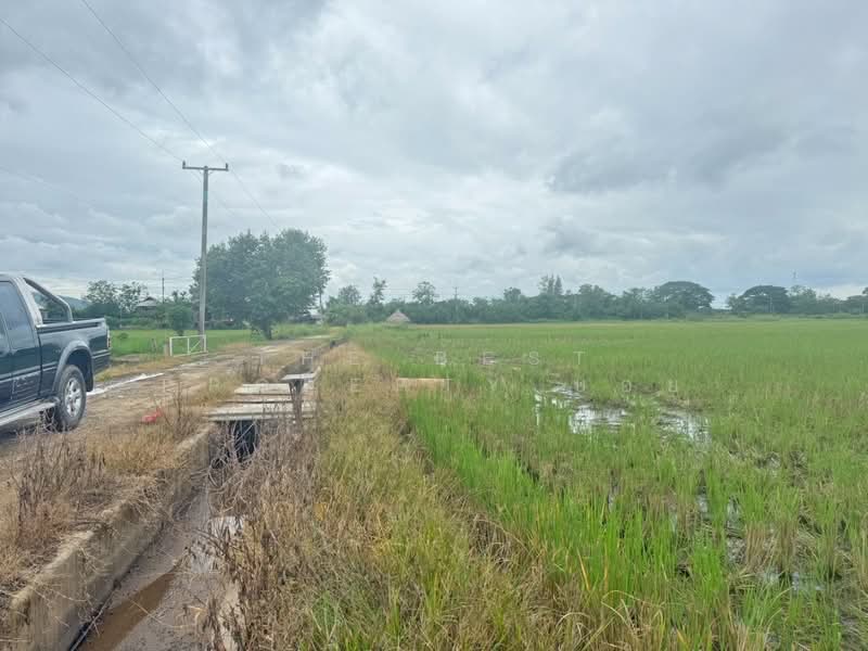 ที่ดินแม่แตง เชียงใหม่, Chiang Mai, Cho Lae, Mae Taeng, Chiang Mai, , 6,600 sqm, Land For Sale, by The Best Property บอย, 500357397 - DDproperty.com
