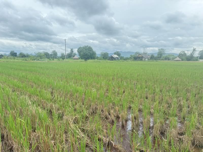 ที่ดินแม่แตง เชียงใหม่, เชียงใหม่, ช่อแล, แม่แตง, เชียงใหม่, 6,600 ตร.ม., ที่ดิน ขาย, โดย The Best Property บอย, 500357397 - DDproperty.com