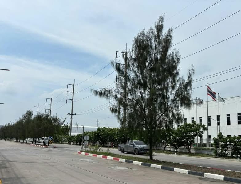 Industrial Land for Sale 5 - 100 Rai | IEAT Chachoengsao, Chachoengsao, Tha Sa-an, Bang Pakong, Chachoengsao, , 48,000 sqm, Land For Sale, by Patchalida Chanchaisiriwet, 500357412 - DDproperty.com