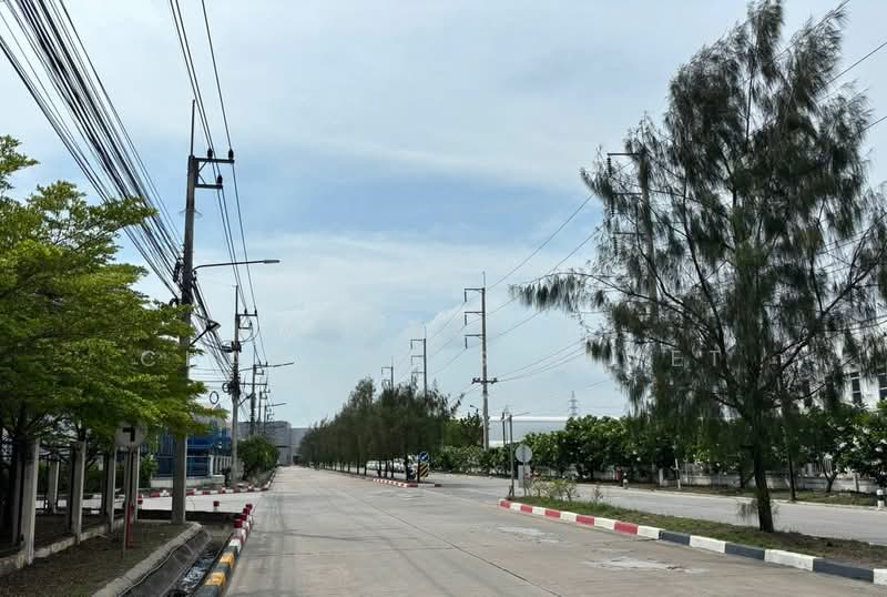 Industrial Land for Sale 5 - 100 Rai | IEAT Chachoengsao, Chachoengsao, Tha Sa-an, Bang Pakong, Chachoengsao, , 48,000 sqm, Land For Sale, by Patchalida Chanchaisiriwet, 500357412 - DDproperty.com