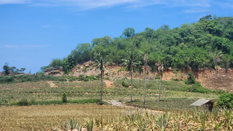 l, Prachuap Khiri Khan, Wang-Pong, Pran Buri, Prachuap Khiri Khan, , 5,728 sqm, Land For Sale, by Chuanpit Tongmanee, 500357415 - DDproperty.com
