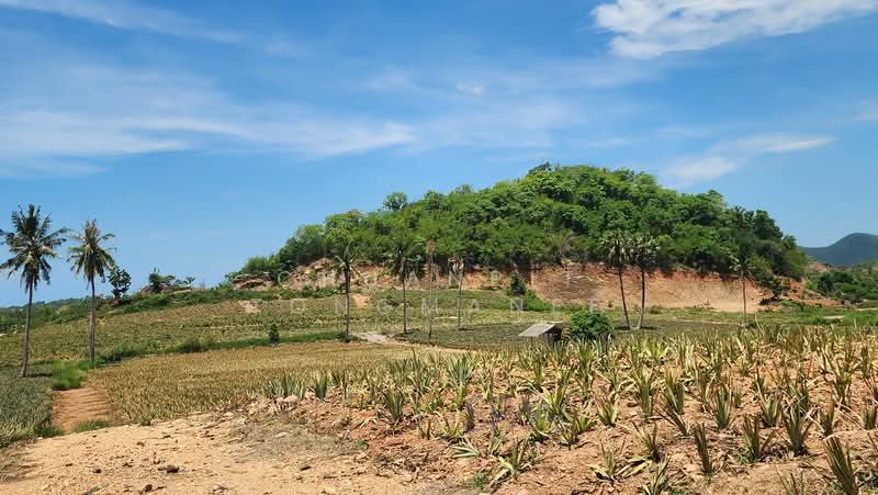 l, Prachuap Khiri Khan, Wang-Pong, Pran Buri, Prachuap Khiri Khan, , 5,728 sqm, Land For Sale, by Chuanpit Tongmanee, 500357415 - DDproperty.com