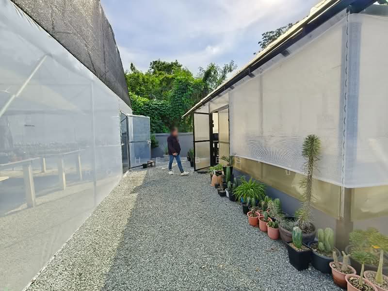 บ้านเดี่ยวพร้อมที่ดินบ้านฉาง ระยอง, Rayong, Phla, Ban Chang, Rayong, 2 Bedrooms, 384 sqm, Single Detached House For Sale, by The Best Property ป้อ, 500357449 - DDproperty.com