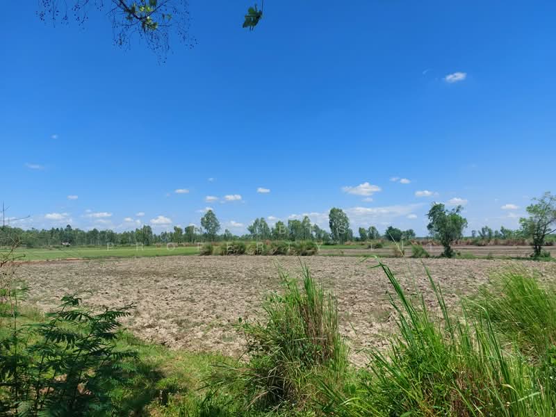 ที่ดินรัตนวาปี หนองคาย, Nong Khai, Ban Ton, Rattana Wapi, Nong Khai, , 6,780 sqm, Land For Sale, by The Best Property เป้า, 500357633 - DDproperty.com