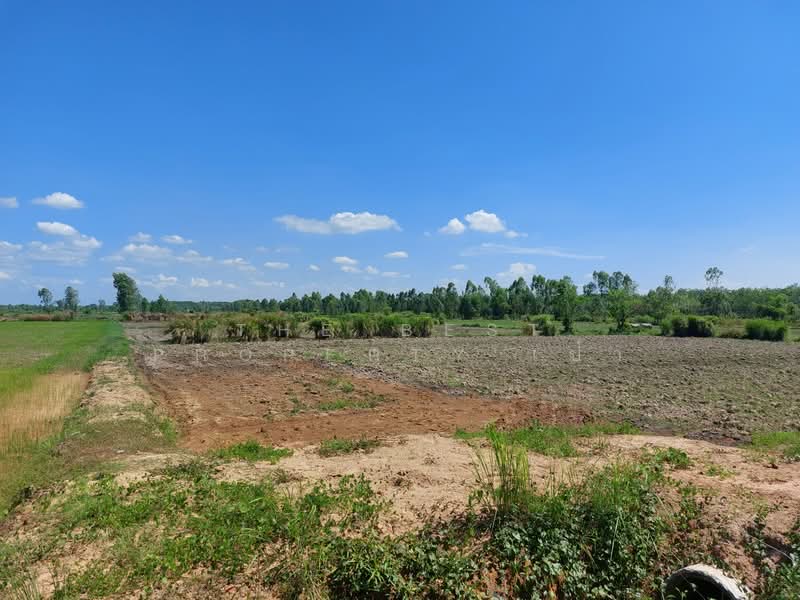 ที่ดินรัตนวาปี หนองคาย, Nong Khai, Ban Ton, Rattana Wapi, Nong Khai, , 6,780 sqm, Land For Sale, by The Best Property เป้า, 500357633 - DDproperty.com
