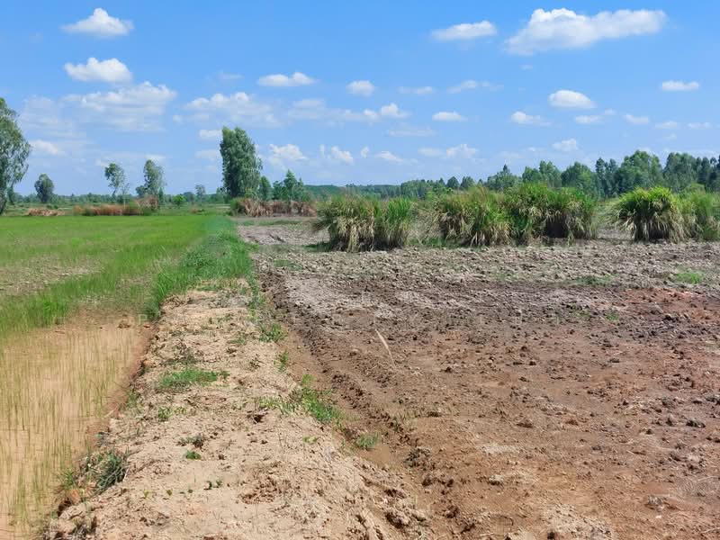 ที่ดินรัตนวาปี หนองคาย, Nong Khai, Ban Ton, Rattana Wapi, Nong Khai, , 6,780 sqm, Land For Sale, by The Best Property เป้า, 500357633 - DDproperty.com