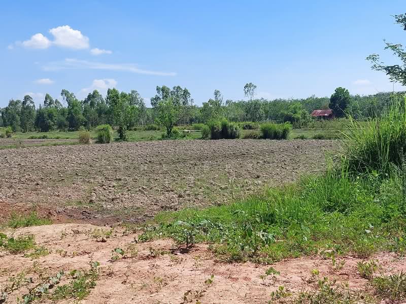 ที่ดินรัตนวาปี หนองคาย, Nong Khai, Ban Ton, Rattana Wapi, Nong Khai, , 6,780 sqm, Land For Sale, by The Best Property เป้า, 500357633 - DDproperty.com