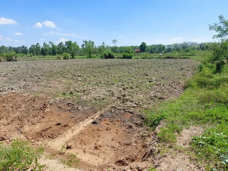 ที่ดินรัตนวาปี หนองคาย, Nong Khai, Ban Ton, Rattana Wapi, Nong Khai, , 6,780 sqm, Land For Sale, by The Best Property เป้า, 500357633 - DDproperty.com