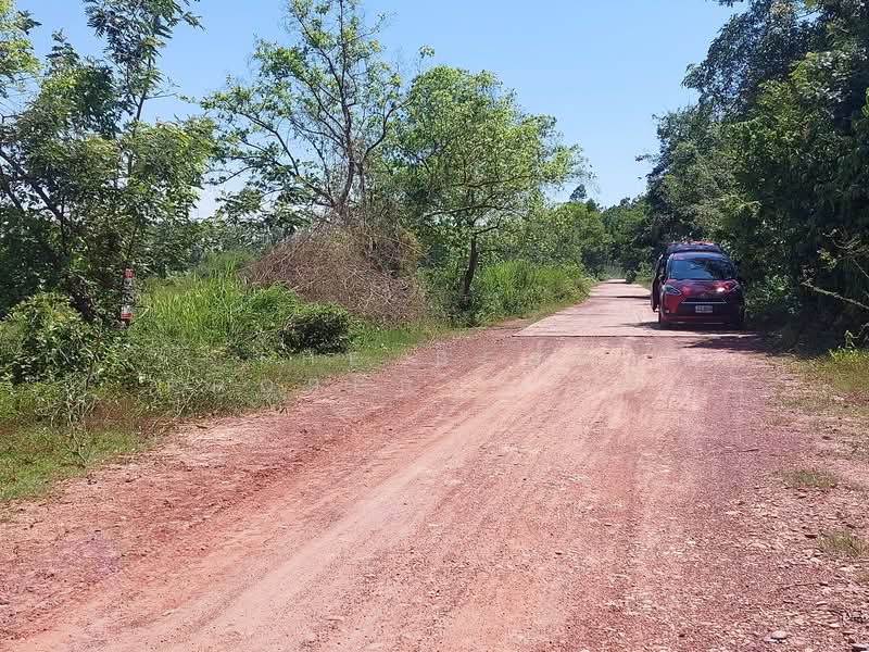ที่ดินรัตนวาปี หนองคาย, หนองคาย, บ้านต้อน, รัตนวาปี, หนองคาย, 6,780 ตร.ม., ที่ดิน ขาย, โดย The Best Property เป้า, 500357633 - DDproperty.com