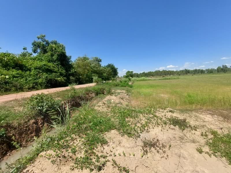 ที่ดินรัตนวาปี หนองคาย, Nong Khai, Ban Ton, Rattana Wapi, Nong Khai, , 6,780 sqm, Land For Sale, by The Best Property เป้า, 500357633 - DDproperty.com