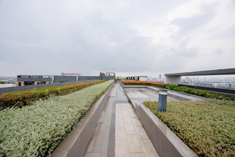 Plum Condo ปิ่นเกล้า สเตชั่น (พลัมคอนโด ปิ่นเกล้า สเตชั่น), กรุงเทพ, ถนนสมเด็จพระปิ่นเกล้า, บางยี่ขัน, บางพลัด, กรุงเทพ, 25 ตร.ม., คอนโด ขาย, โดย ณัฐจีรา กุลสิริภิวัฒน์, 500357640 - DDproperty.com