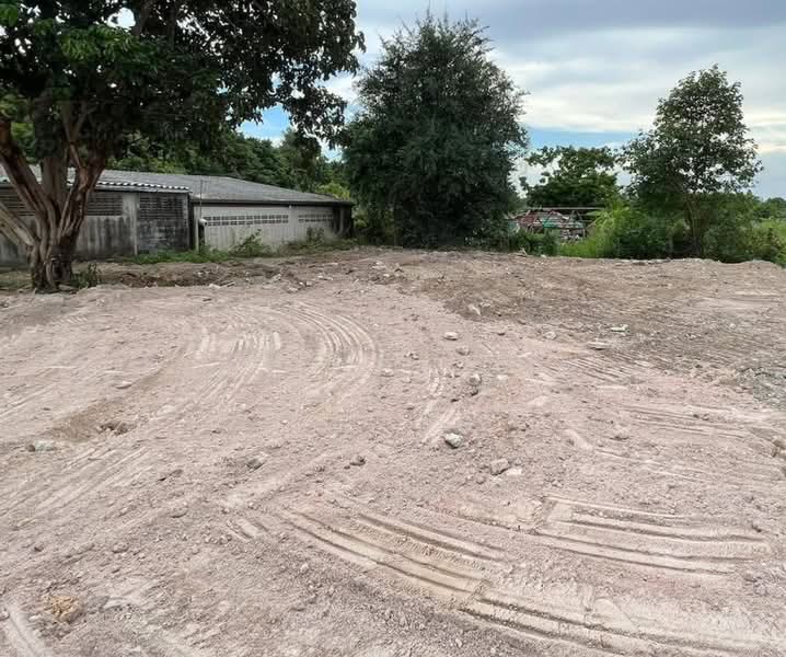 Land for sale in Surasak area, 323 sq.wa, already filled and leveled., Chon Buri (Pattaya), Surasak, Si Racha, Chon Buri (Pattaya), , 1,292 sqm, Land For Sale, by RICHWELL INTERPLUS, 500357681 - DDproperty.com