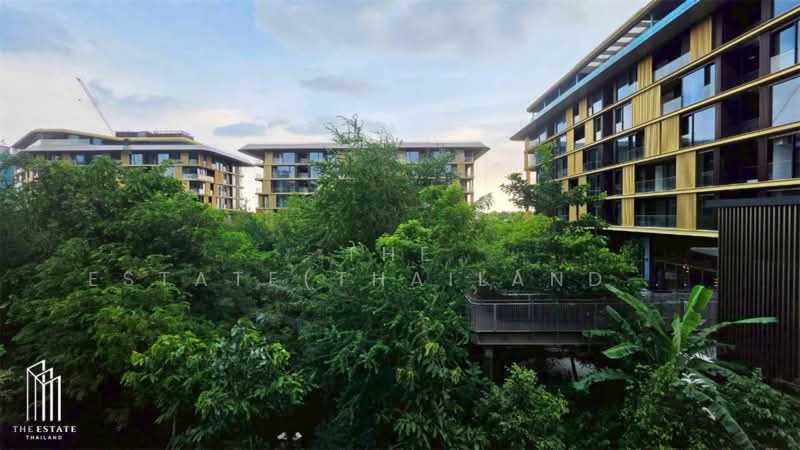 Mulberry Grove The Forestias Condo : มัลเบอร์รี โกรฟ เดอะ ฟอเรสเทียส์ คอนโด, สมุทรปราการ, ถนนบางนา-ตราด, บางแก้ว, บางพลี, สมุทรปราการ, 98 ตร.ม., คอนโด ให้เช่า, โดย The Estate(Thailand) Limited, 500357694 - DDproperty.com