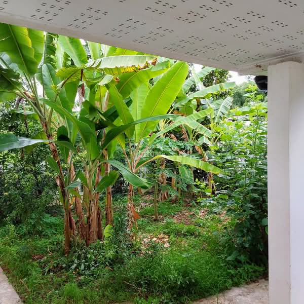 Single-story detached house, Ban Noen Yang, Khlong Pun, Klaeng, Rayong, Khlong Pun, Klaeng, Rayong, 2 Bedrooms, 116 sqm, Single Detached House For Rent, by วิทยา ไชยศักดิ์, 500357712 - DDproperty.com
