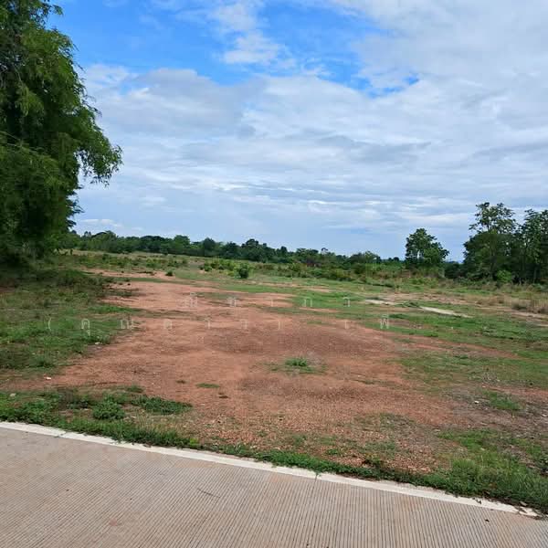 บ้านสำราญ ตำบลสำราญ อำเภอเมืองขอนแก่น จังหวัดขอนแก่น, ขอนแก่น, ถนนหมู่บ้านสำราญ, สำราญ, เมืองขอนแก่น, ขอนแก่น, 23,036 ตร.ม., ที่ดิน ขาย, โดย ณิชาภา (คุณดาว) เพียจันทร์, 500357780 - DDproperty.com