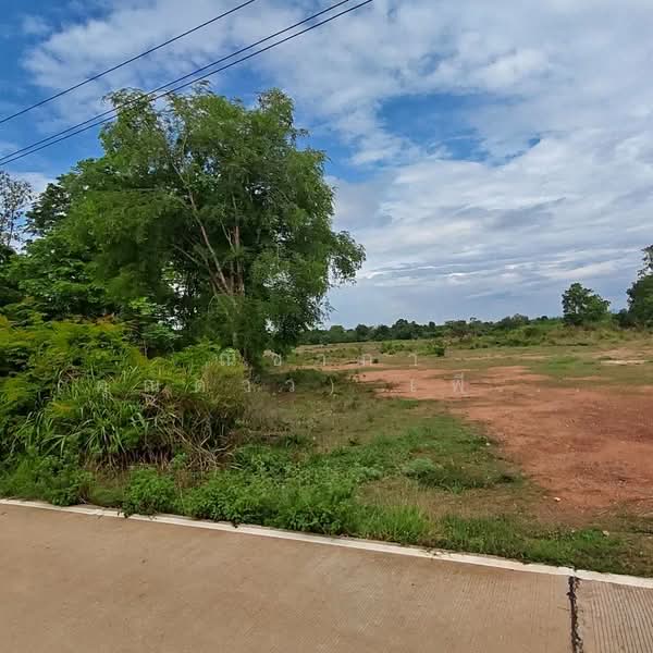 บ้านสำราญ ตำบลสำราญ อำเภอเมืองขอนแก่น จังหวัดขอนแก่น, ขอนแก่น, ถนนหมู่บ้านสำราญ, สำราญ, เมืองขอนแก่น, ขอนแก่น, 23,036 ตร.ม., ที่ดิน ขาย, โดย ณิชาภา (คุณดาว) เพียจันทร์, 500357780 - DDproperty.com