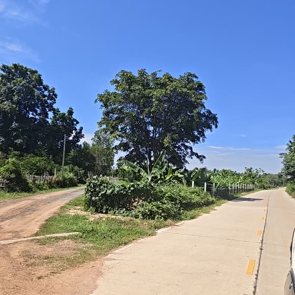บ้านสำราญ ตำบลสำราญ อำเภอเมืองขอนแก่น จังหวัดขอนแก่น, ขอนแก่น, ถนนหมู่บ้านสำราญ, สำราญ, เมืองขอนแก่น, ขอนแก่น, 23,036 ตร.ม., ที่ดิน ขาย, โดย ณิชาภา (คุณดาว) เพียจันทร์, 500357780 - DDproperty.com