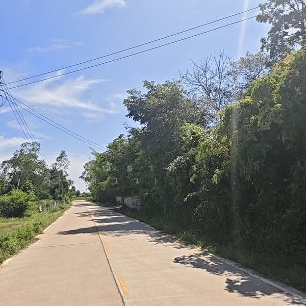 บ้านสำราญ ตำบลสำราญ อำเภอเมืองขอนแก่น จังหวัดขอนแก่น, ขอนแก่น, ถนนหมู่บ้านสำราญ, สำราญ, เมืองขอนแก่น, ขอนแก่น, 23,036 ตร.ม., ที่ดิน ขาย, โดย ณิชาภา (คุณดาว) เพียจันทร์, 500357780 - DDproperty.com