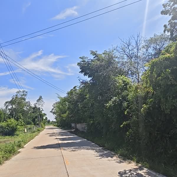 บ้านสำราญ ตำบลสำราญ อำเภอเมืองขอนแก่น จังหวัดขอนแก่น, ขอนแก่น, ถนนหมู่บ้านสำราญ, สำราญ, เมืองขอนแก่น, ขอนแก่น, 23,036 ตร.ม., ที่ดิน ขาย, โดย ณิชาภา (คุณดาว) เพียจันทร์, 500357780 - DDproperty.com