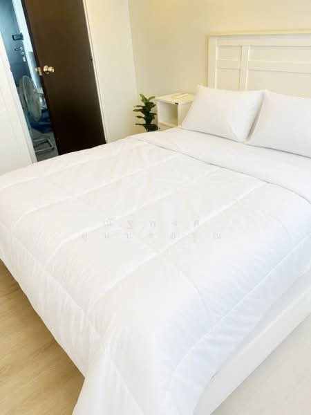 Knightsbridge Collage Sukhumvit 107, Samut Prakan, Sukhumvit 107 Road, Samrong Nua, Muang Samut Prakarn, Samut Prakan, 1 Bedroom, 31 sqm, Condo For Rent, by ณัฐพงศ์ สุนทรอรุณ, 500357802 - DDproperty.com