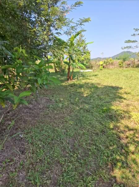 ที่ดินสันทราย เชียงราย, เชียงราย, สันทราย, เมืองเชียงราย, เชียงราย, 1,156 ตร.ม., ที่ดิน ขาย, โดย The Best Property Agent ไนล์, 500357817 - DDproperty.com