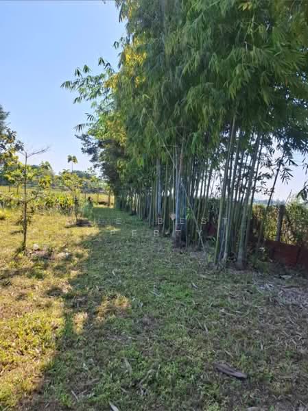 ที่ดินสันทราย เชียงราย, Chiang Rai, Sun Sai, Muang Chiang Rai, Chiang Rai, , 1,156 sqm, Land For Sale, by The Best Property Agent ไนล์, 500357817 - DDproperty.com