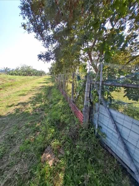 ที่ดินสันทราย เชียงราย, เชียงราย, สันทราย, เมืองเชียงราย, เชียงราย, 1,156 ตร.ม., ที่ดิน ขาย, โดย The Best Property Agent ไนล์, 500357817 - DDproperty.com