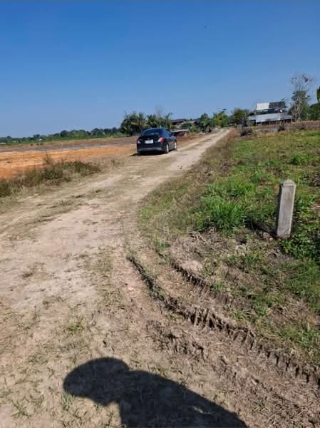ที่ดินสันทราย เชียงราย, Chiang Rai, Sun Sai, Muang Chiang Rai, Chiang Rai, , 1,156 sqm, Land For Sale, by The Best Property Agent ไนล์, 500357817 - DDproperty.com