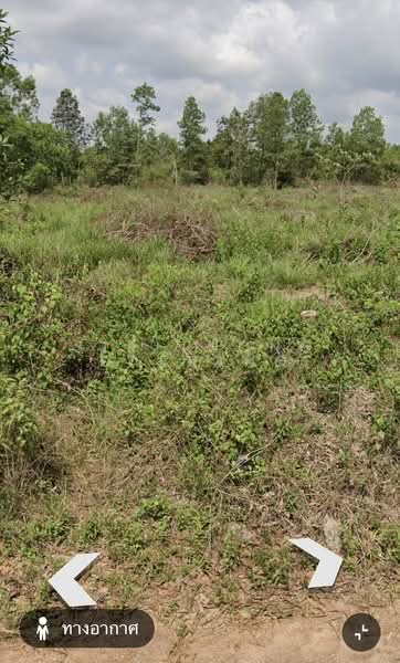 Urgent Sale! Vacant Land 6-0-97 Rai, on 3447 Road, Khlung, Chanthaburi, Near Sukhumvit Road, Chanthaburi, 3447, Bo, Khlung, Chanthaburi, , 9,988 sqm, Land For Sale, by Sirithong Saetang, 500357836 - DDproperty.com