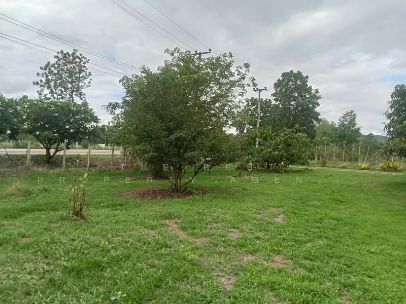บ้านเดี่ยวพร้อมที่ดินโพธาราม ราชบุรี, Ratchaburi, Thamsen, Photharam, Ratchaburi, 2 Bedrooms, 150 sqm, Single Detached House For Sale, by The Best Property Agent มุก, 500357850 - DDproperty.com