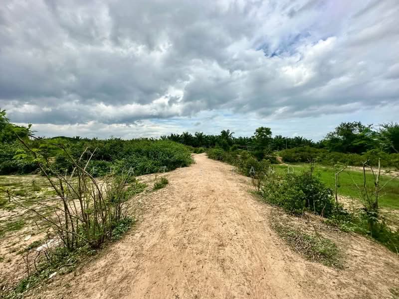 ปราณบุรี, Prachuap Khiri Khan, Silaloi, Sam Roi Yot, Prachuap Khiri Khan, , 39,124 sqm, Land For Sale, by ERA Thailand, 500357852 - DDproperty.com