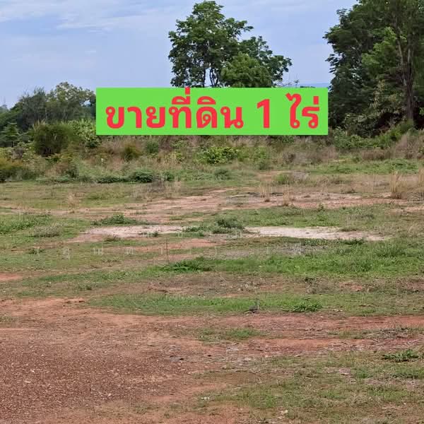 บ้านสำราญ ตำบลสำราญ อำเภอเมืองขอนแก่น จังหวัดขอนแก่น, ขอนแก่น, ถนนหมู่บ้านสำราญบุรี, สำราญ, เมืองขอนแก่น, ขอนแก่น, 1,600 ตร.ม., ที่ดิน ขาย, โดย ณิชาภา (คุณดาว) เพียจันทร์, 500357865 - DDproperty.com