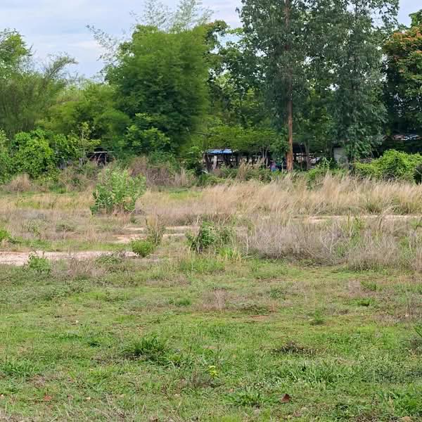 Land for Sale KhonKaen, Khon Kaen, ถนนหมู่บ้านสำราญบุรี, Samran, Muang Khon Kaen, Khon Kaen, , 1,600 sqm, Land For Sale, by Nichapa Phiachan, 500357865 - DDproperty.com